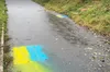У Чехії невідомі розвісили українські прапори біля будинку Томіо Окамури