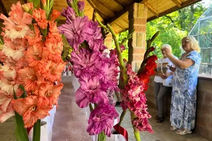 Фото із сайту Суспільне