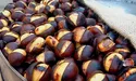 Вирощуємо їстівні каштани