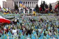 У Києві чоловік заради хайпу намагався пошкодити прапорці на Майдані