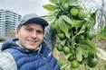 Неподалік лінії фронту вродила маракуя