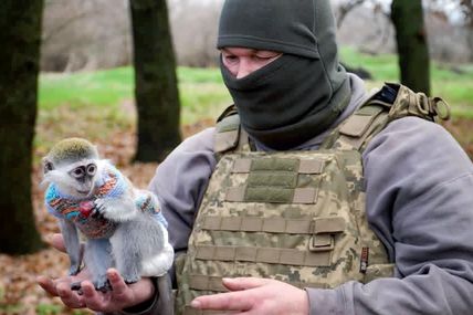 Бойовим медикам і їхнім пацієнтам піднімає настрій мавпочка Зіна