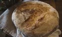 «Люди з російською щелепою українських звуків не вимовляють»