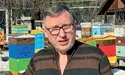 Пів століття присвятив бджолам
