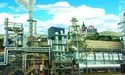 Ландшафти князівського замку під Олеськом хочуть зіпсувати… пилорамою?