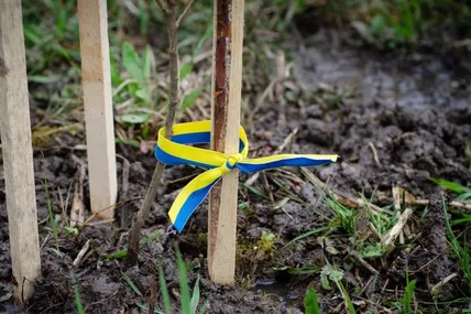 Житомир. Фото: Державна екологічна інспекція Поліського округу
