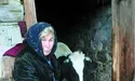 «У неї корова померла, розкладається. Сморід. Сусіди не витримують…»