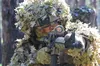На фронті - 78 бойових зіткнень: актуальна ситуація на фронті