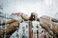 У 90 років на Різдво покинув Англію і з обручкою поїхав в Україну!