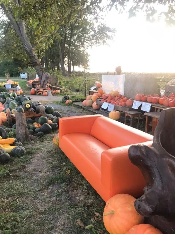 Фото Юлії Підлужної