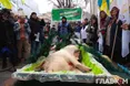 Під Радою аграрії підклали свиню нардепам