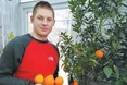 Ананаси, лимони, авокадо, манго...
