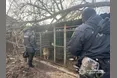 Жахливі умови в «розпліднику»: в Ізмаїлі поліція вилучила сотню занедбаних тварин