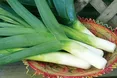 Цибуля-порей — для здоров’я печінки