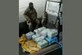 ЕваКОТИзація з острова Зміїного