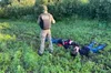 8,5 тисяч кущів конопель та маку. Прикордонники виявили чотири плантації дурману