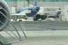 Кіт-зайда затримав виліт літака Ryanair у Римі на два дні