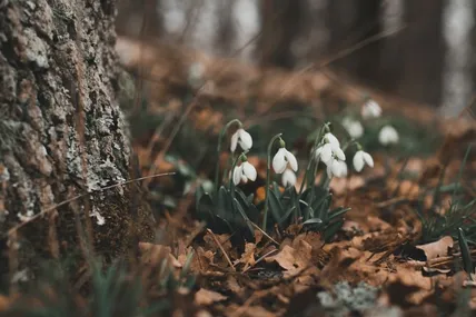 Завтра синоптики прогнозують теплу погоду. Фото із мережі