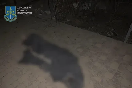 Фото: Херсонська обласна прокуратура