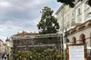 Соняшник — мовчазний символ трагедії