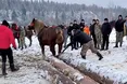 На фестивалі коней лупцювали батогами
