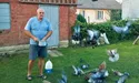 Рятуючись від обстрілів, найперше завантажили в машину… 56 голубів