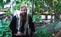 Узимку плодоносять лимони