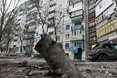 Обстріл Маріуполя: сьогодні минають п'яті роковини найстрашнішого теракту в Україні