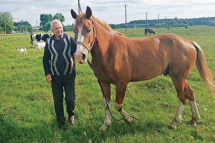 Працьовиті руки та широка душа: як чоловік оживив землю діда