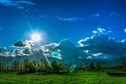 Фото ілюстративне із сайту Pexels