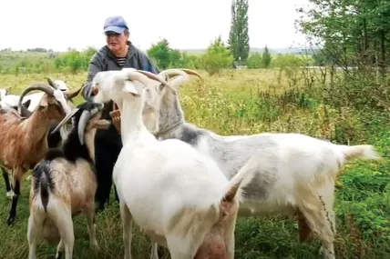 Кози дуже люблять свою господиню. Фото з архіву Ірини Сухіної.