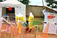 У Конго зафіксували новий спалах лихоманки Ебола: десятки загиблих