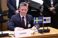 Швеція підтримує євроатлантичну перспективу України та її вступ до НАТО — міністр оборони
