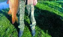 Не короп - торпеда!