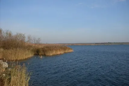 Два випадки укусів змій та загибель чоловіка у водоймі: надзвичайні події у Львівській області за добу