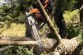 Ланцюгові бензопили STIHL — потужність за акційною ціною!