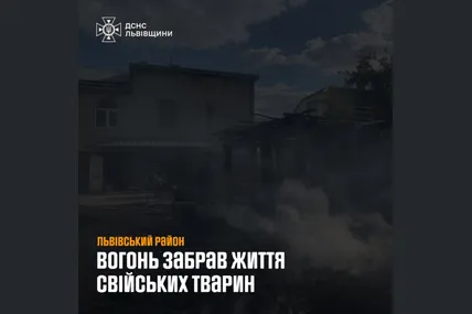 Фото: Головне управління ДСНС України у Львівській області