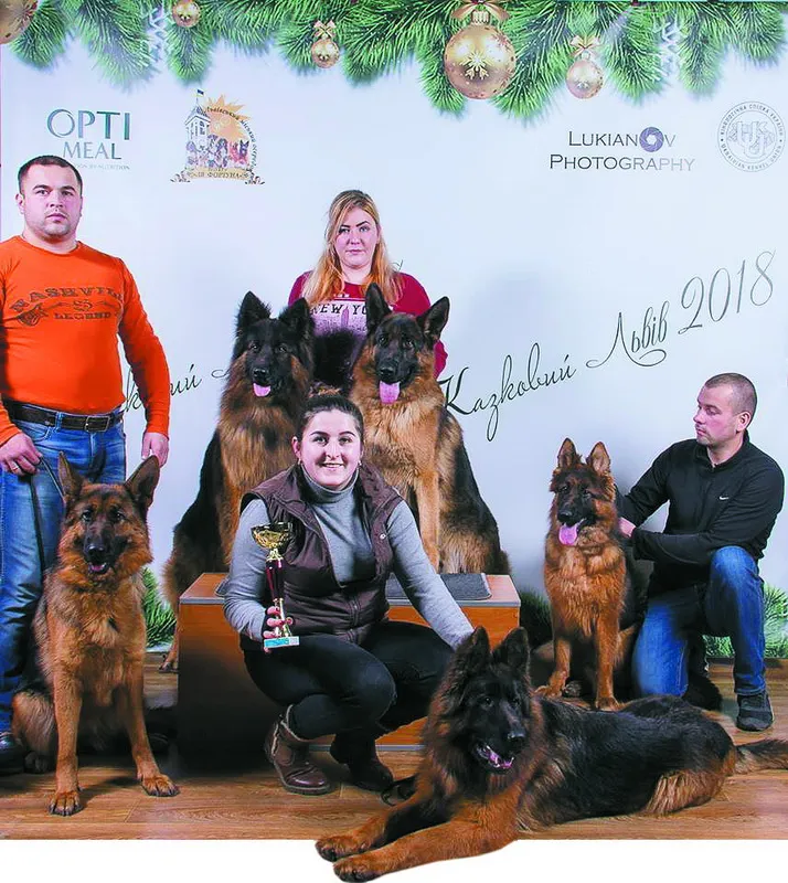 На виставці багато німецьких вівчарок, які не виходять з моди.