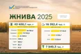 В Україні обмолочено 81% площ зернових: аграрії зібрали понад 43,6 млн тонн урожаю