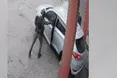 В Ізраїлі розслідують дії поліцейського, який кинув гранату в автомобіль із цивільними