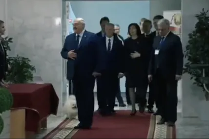 Фото: скрин