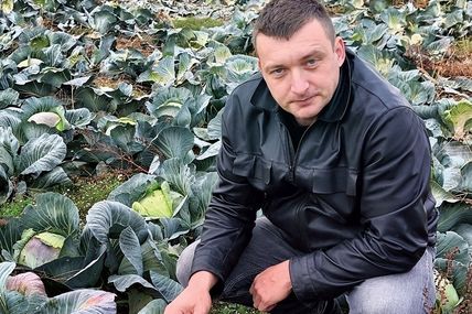 Капуста не підвела початківців