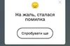 У «Дії» попереджають про можливі збої через масову подачу заявок на «Зимову підтримку»