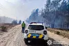 Масштабна пожежа на Рокитнівщині: вогонь стрімко поширюється між селами