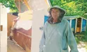 «Нецивілізаційний» мед