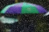 Прогноз погоди 29 липня 2023 року