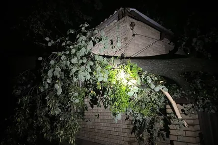 Фото із соцмереж голови Харківської ОВА