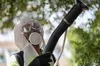 Тропічна загроза на порозі: вірус чикунгунья починає експансію в Європі