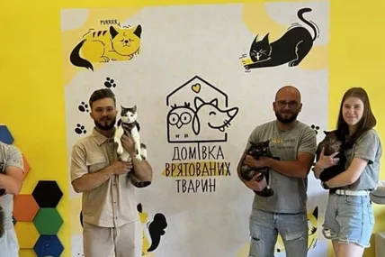 Фото: Домівка врятованих тварин