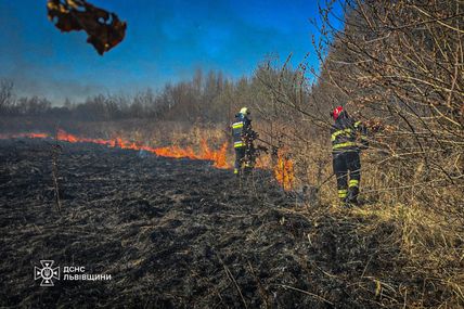 Через паліїв сухої трави ледь не загинула жінка&hellip;